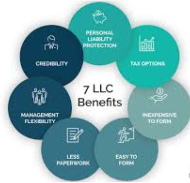 Challenges faced by a single member LLC