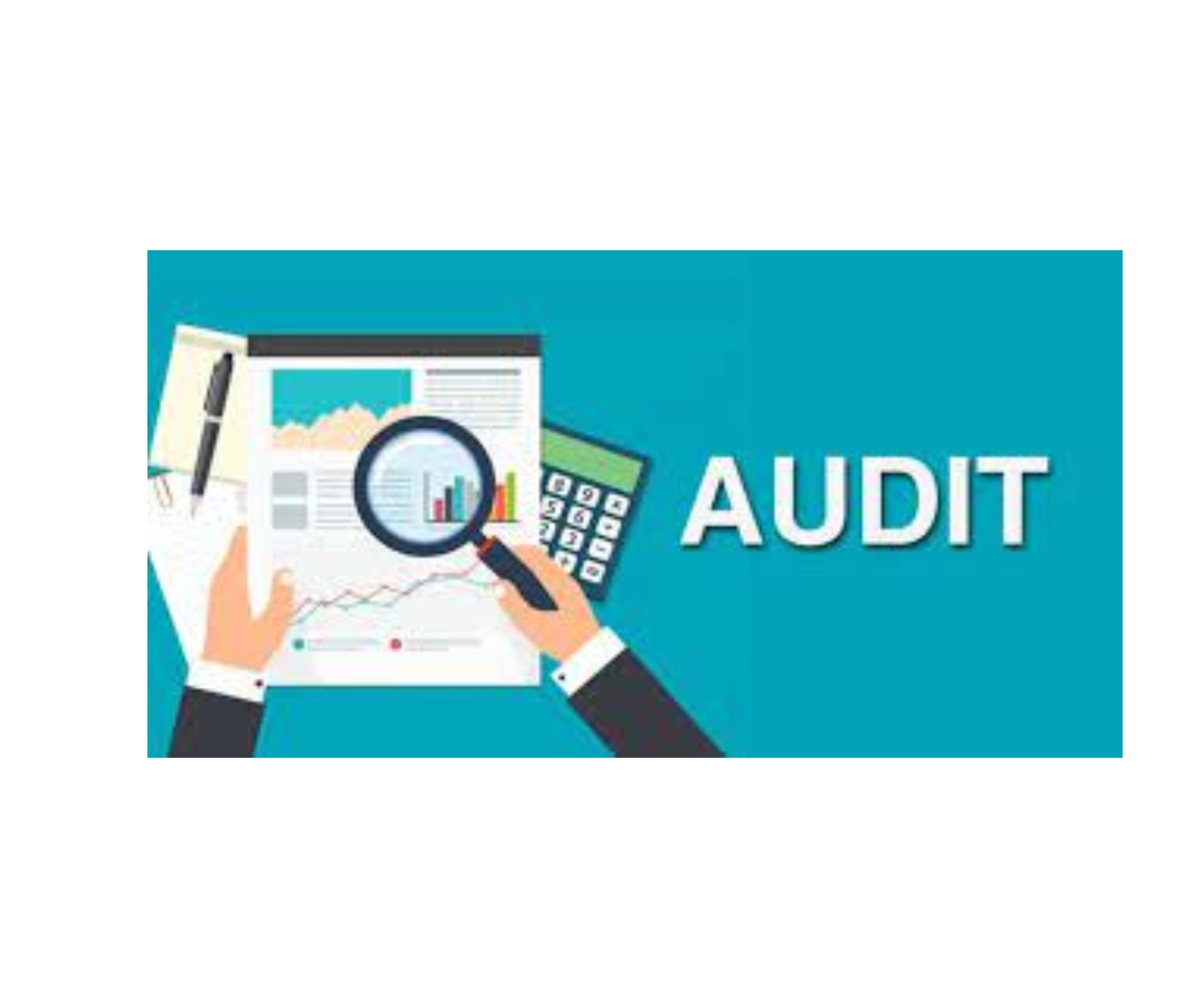 Auditing for Insurance Companies
