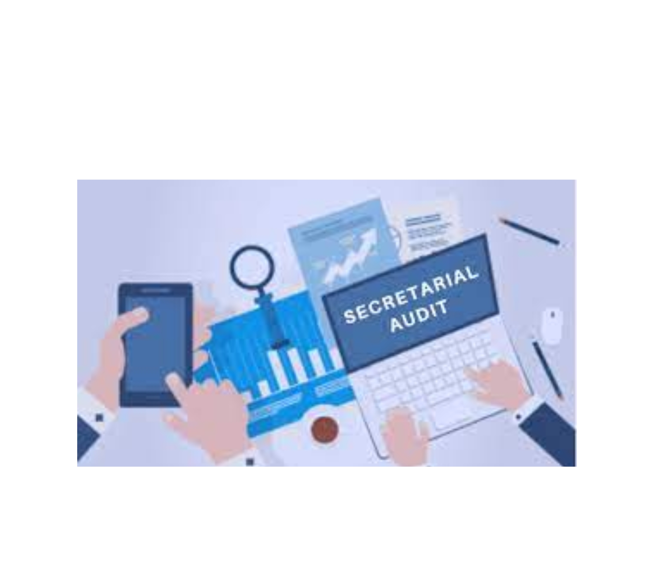 Company Required Secretarial Audit