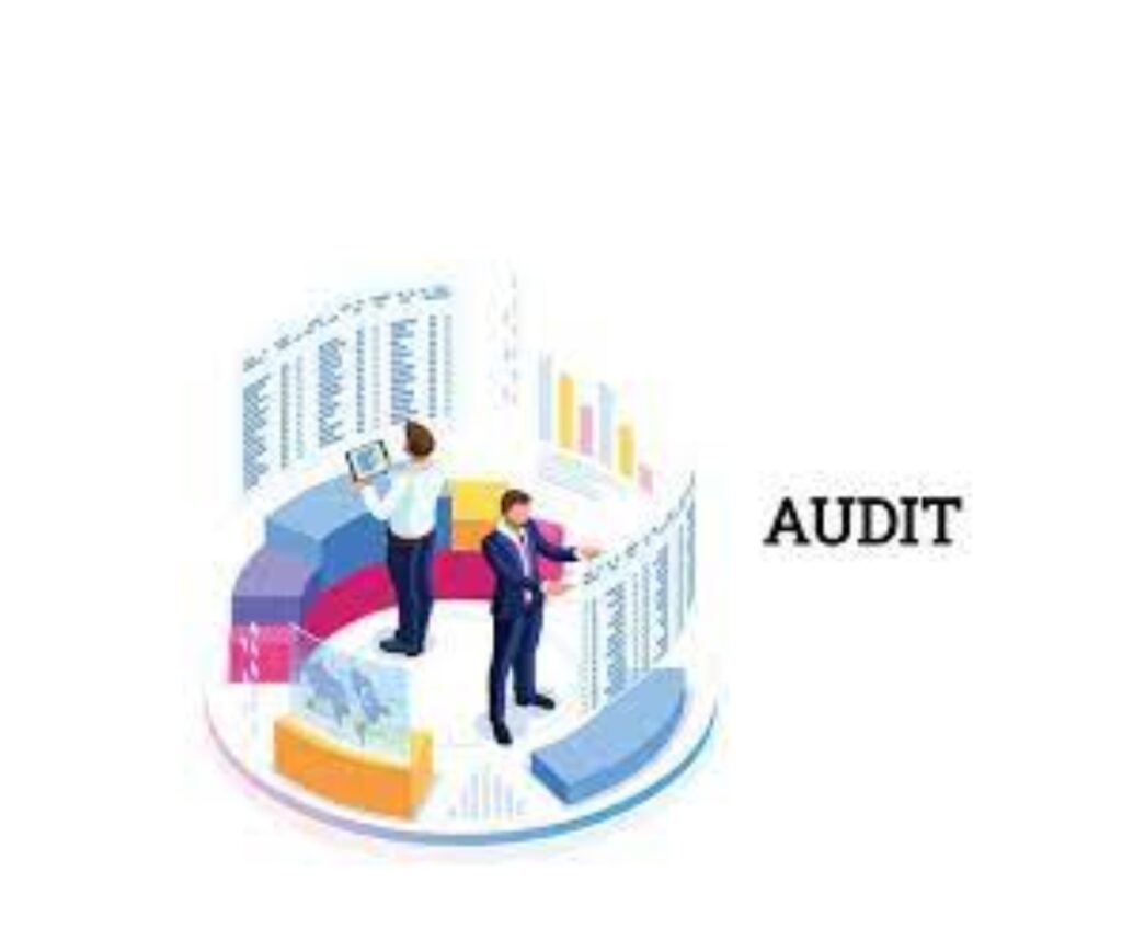 Audit articles