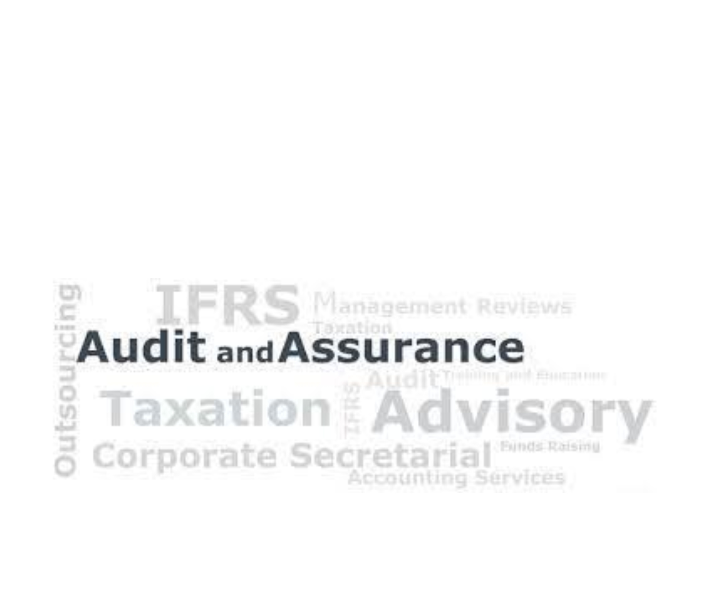 Audit and Assurance in Accounting