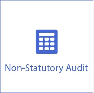 Statutory Vs. non-statutory audit