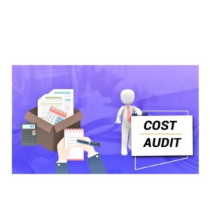 Difference between a cost audit and an internal audit