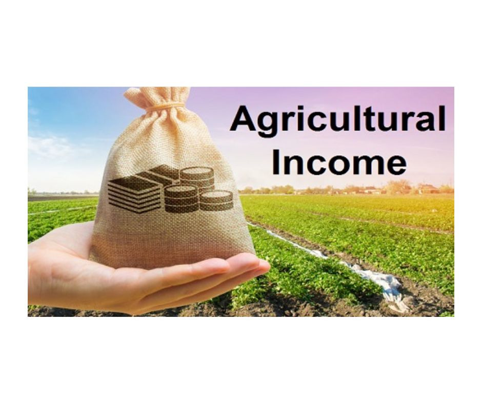 Non-taxability of agricultural income