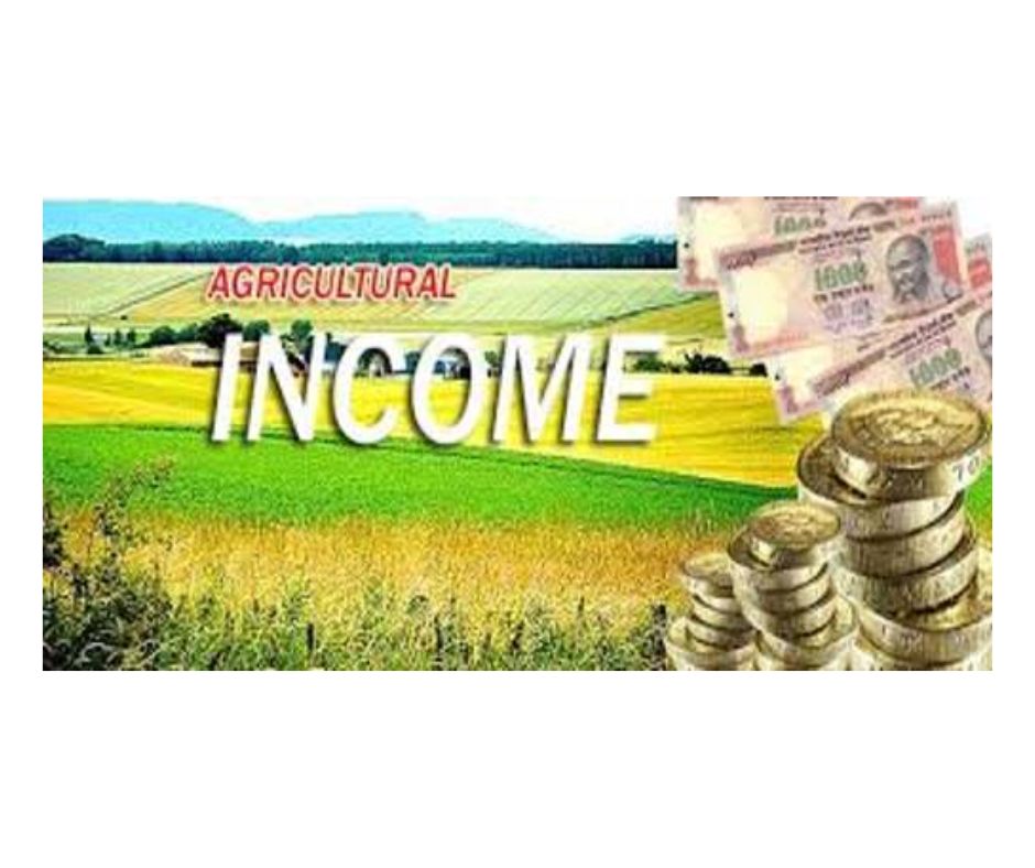 Non-Taxability of Agricultural Income