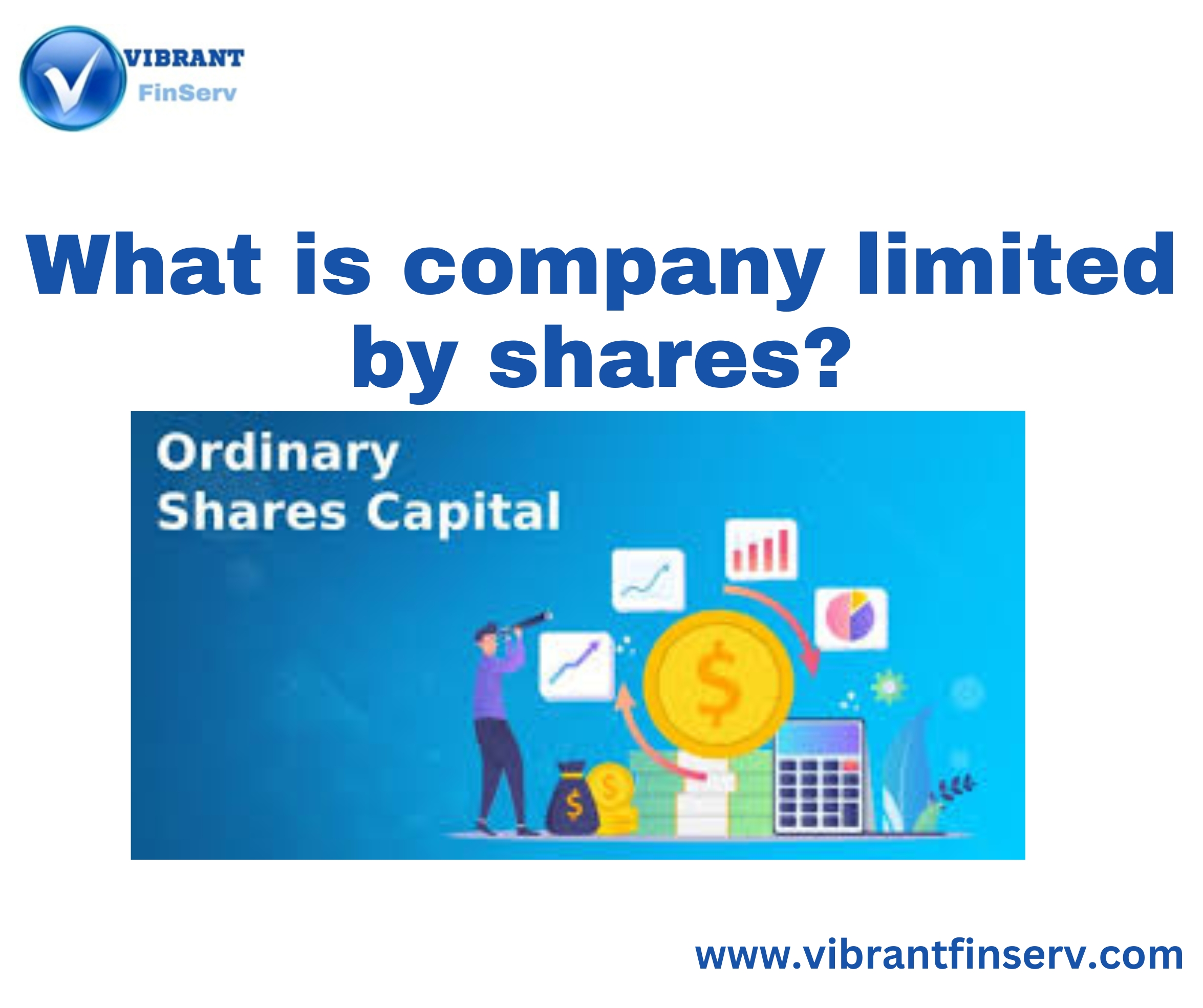 What is company limited by shares