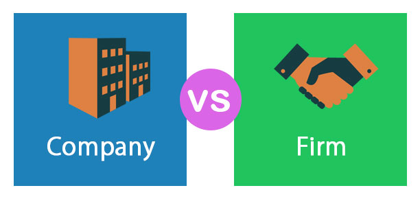 Firm vs Company