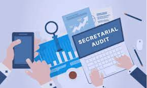 Company secretary audit
