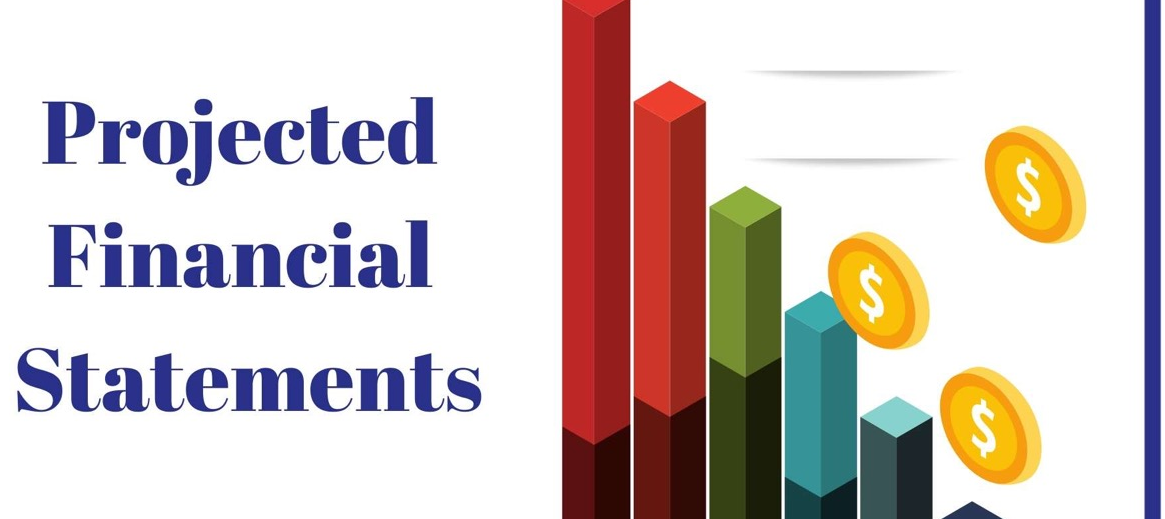 Provisional financial statements