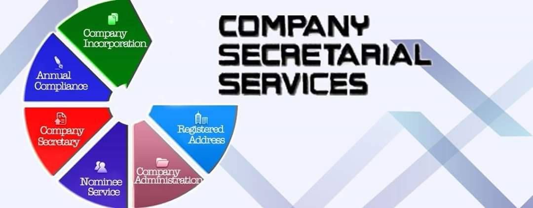 Company secretarial services