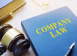 Company Secretary Legal Compliance