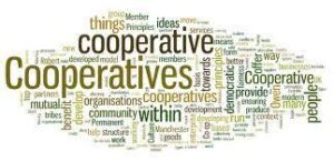 Cooperative society and NGO.