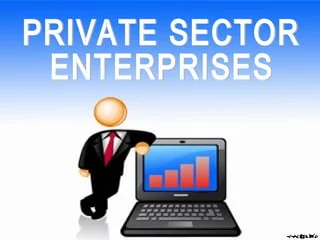 Private sector enterprises feature