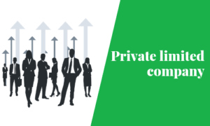 Can a private limited company buy residential property
