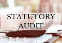 Statutory Audit for Computer Sales & Services