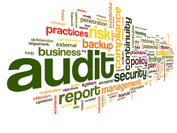 Tax Audit Report for Construction Works