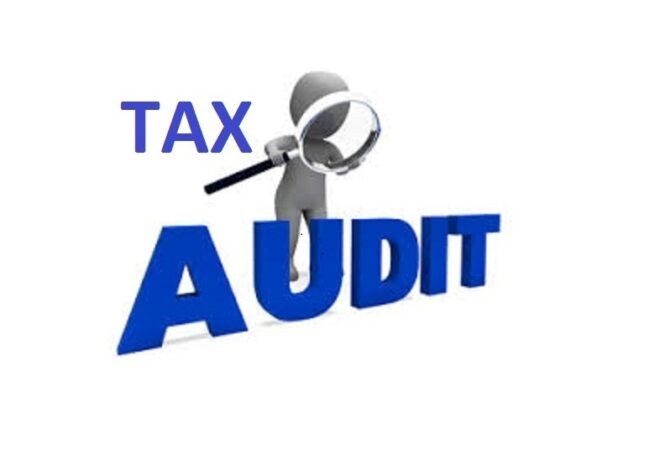 Tax Audit Insights