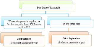 Tax audit report