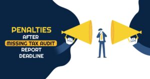 Tax Audit Report