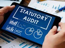 Statutory audit for Grocery and Merchandise, Statutory audit for Furniture and Appliances