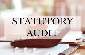 Statutory Audit for Contractual Service Provider