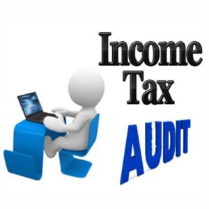 Tax audit for a technical consultant