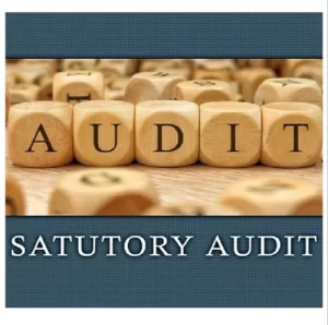 Requirement of Statutory Audit