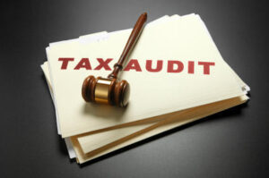 Tax Audit Report for Freelancers