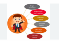 Proprietorship Business Owner Role